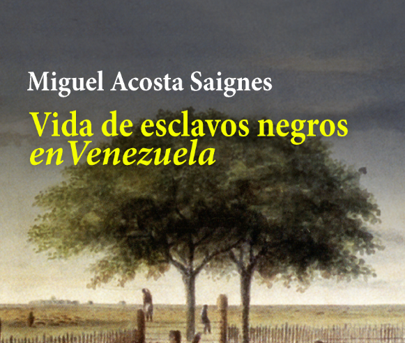 Libro «Vida de esclavos negros en Venezuela» aborda el padecimiento afroamericano desde su llegada al continente