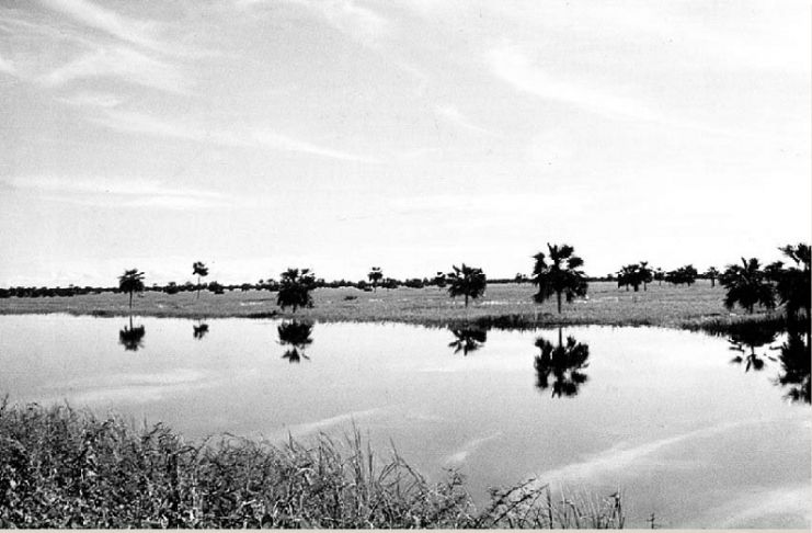 Mil formas de decir Arauca